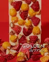 imgi_33_Banners-fotos-web2.webp