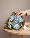 Diseño sin título (9).webp